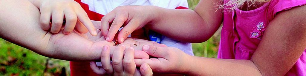 Kids share lady bug